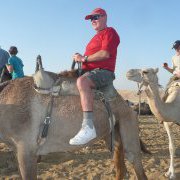 Camel riding in the Negev